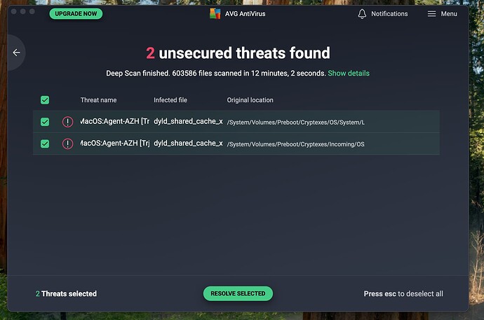Screenshot 2025-09-17 at 12.46.09